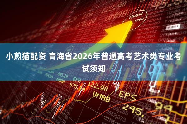 小煎猫配资 青海省2026年普通高考艺术类专业考试须知