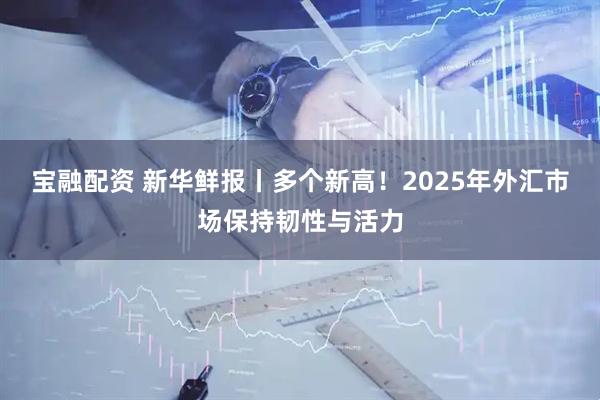 宝融配资 新华鲜报丨多个新高！2025年外汇市场保持韧性与活力